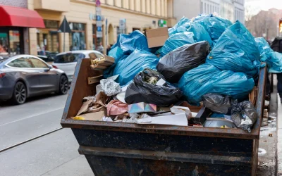 5 Reasons You Might Need Britannia Skips